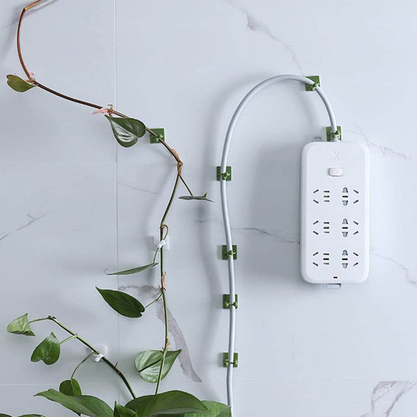Plant Climbing Wall Fixture Clip Self-Adhesive Hook (40 Pcs Set / With plastic box) - Gadgetspiremart