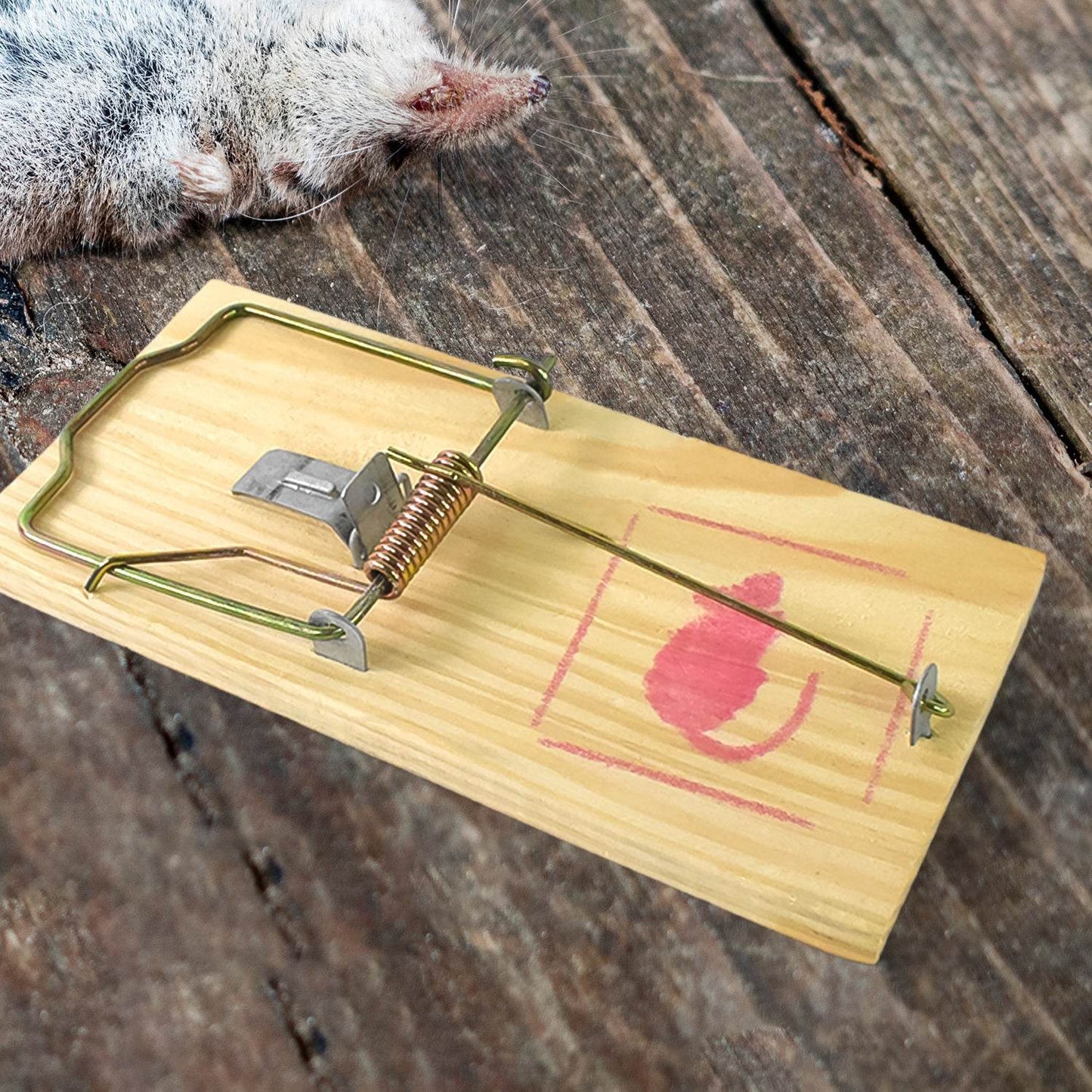 Wooden Mouse Rat Traps (1 Pc) - Gadgetspiremart