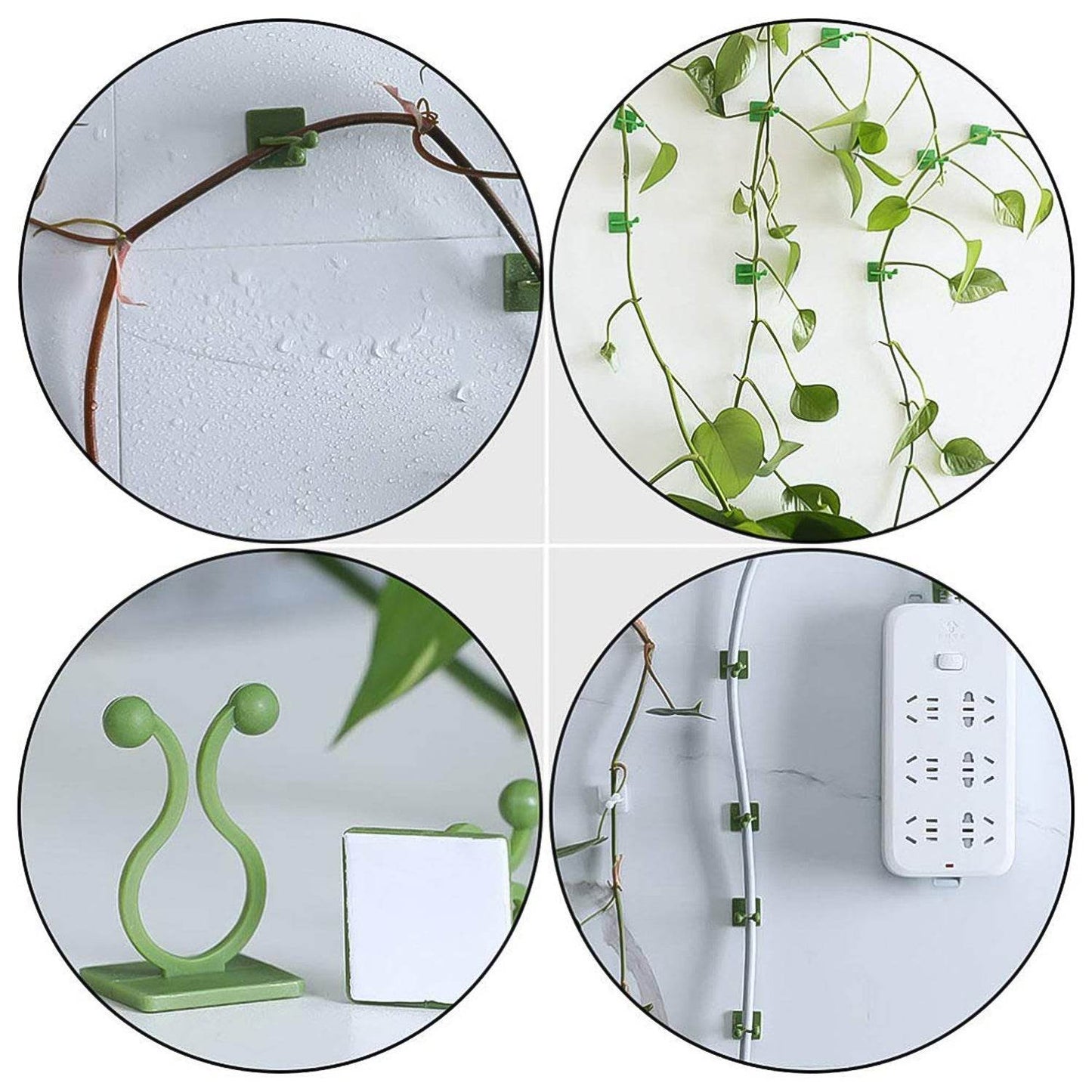 Plant Climbing Wall Fixture Clip Self-Adhesive Hook (40 Pcs Set / With plastic box) - Gadgetspiremart