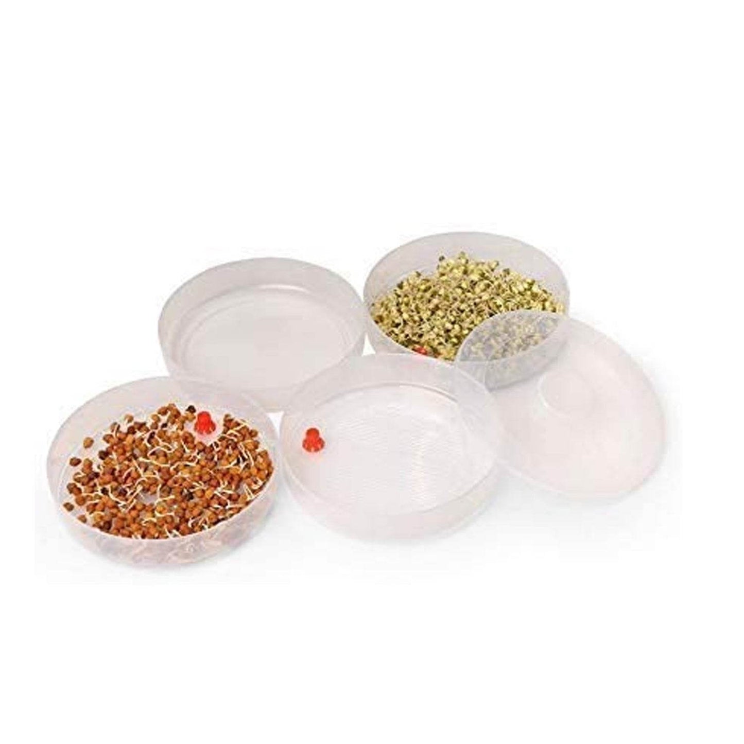 Plastic 4 Compartment Sprout Maker, White - Gadgetspiremart