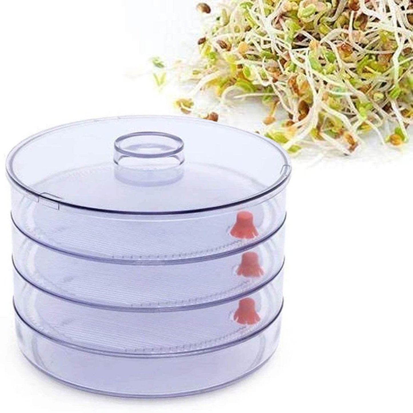 Plastic 4 Compartment Sprout Maker, White - Gadgetspiremart