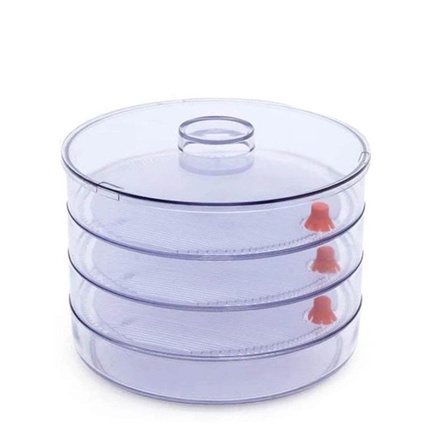 Plastic 4 Compartment Sprout Maker, White - Gadgetspiremart