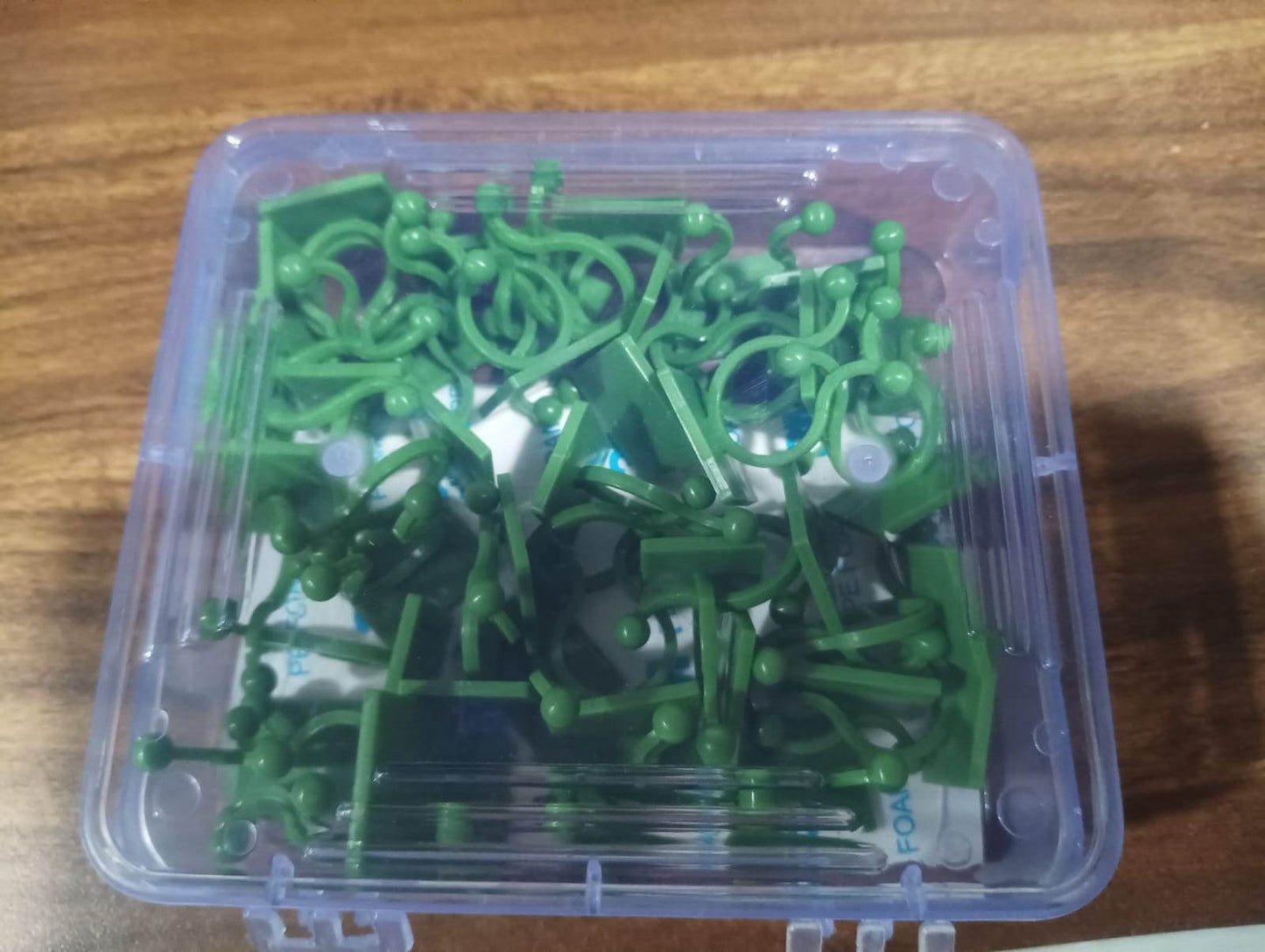 Plant Climbing Wall Fixture Clip Self-Adhesive Hook (40 Pcs Set / With plastic box) - Gadgetspiremart