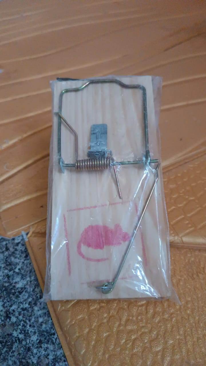 Wooden Mouse Rat Traps (1 Pc) - Gadgetspiremart