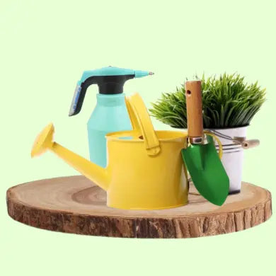 Garden & Outdoors