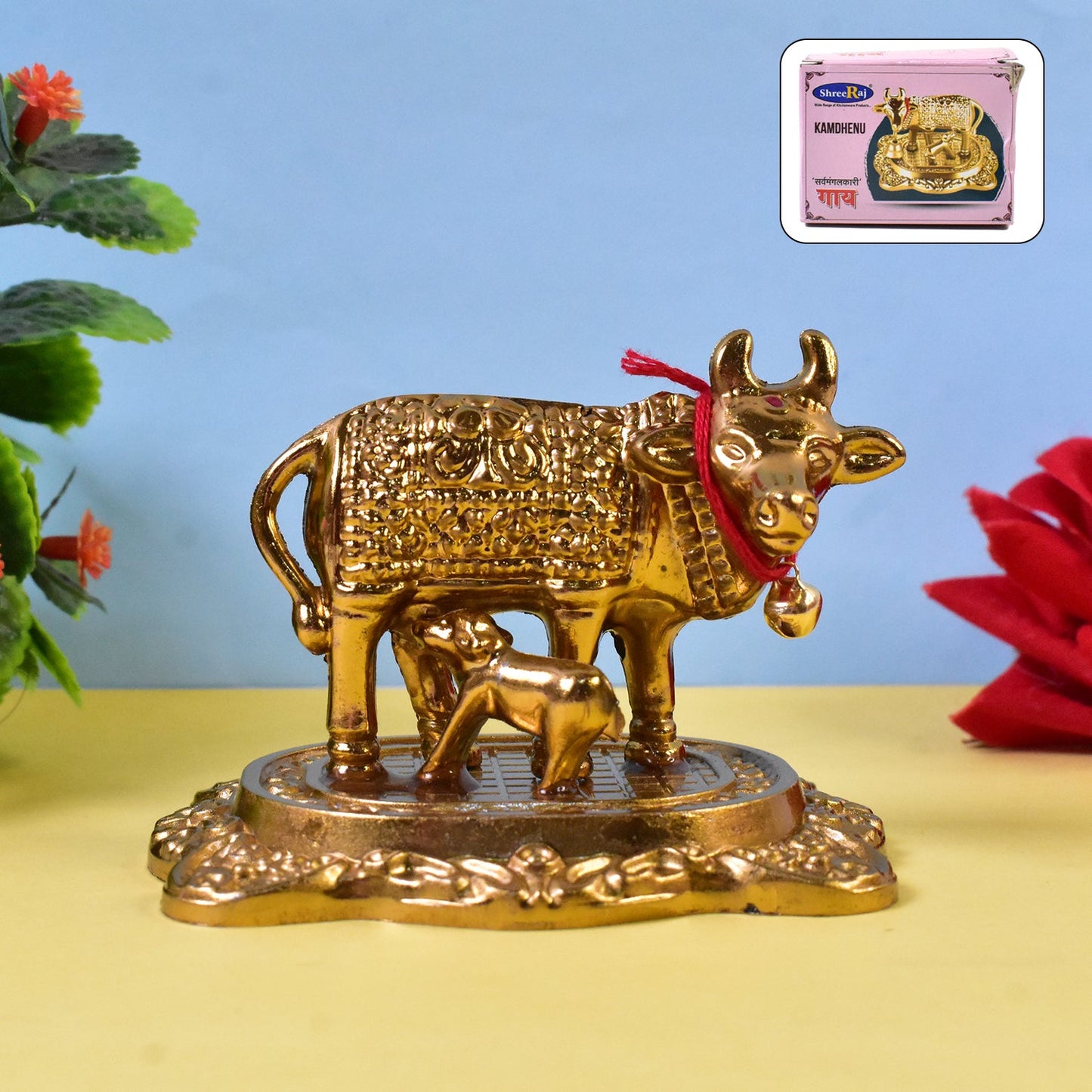 Pavitra Cow