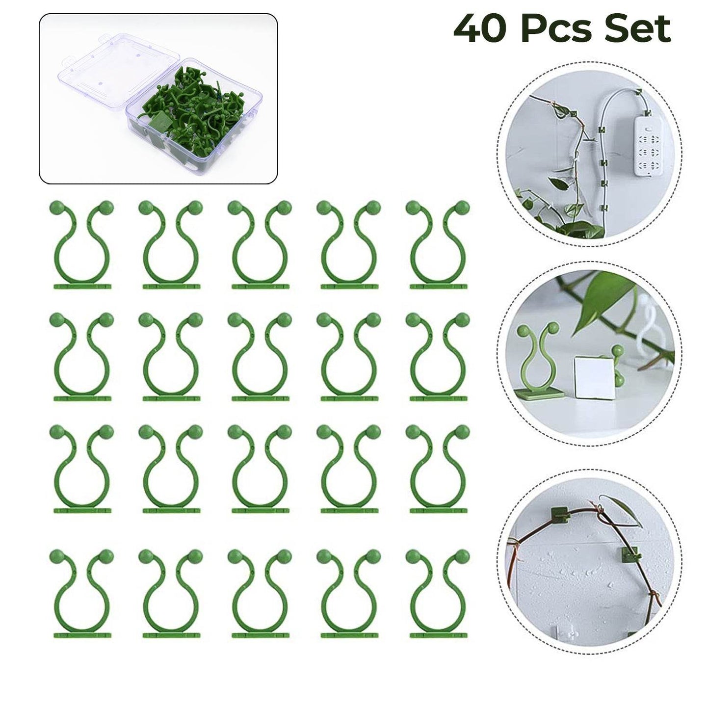 Plant Climbing Wall Fixture Clip Self-Adhesive Hook (40 Pcs Set / With plastic box) - Gadgetspiremart