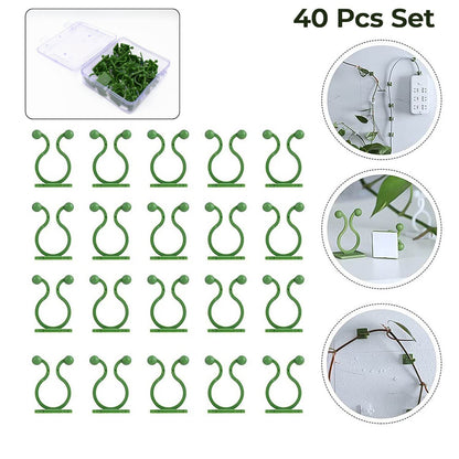 Plant Climbing Wall Fixture Clip Self-Adhesive Hook (40 Pcs Set / With plastic box) - Gadgetspiremart
