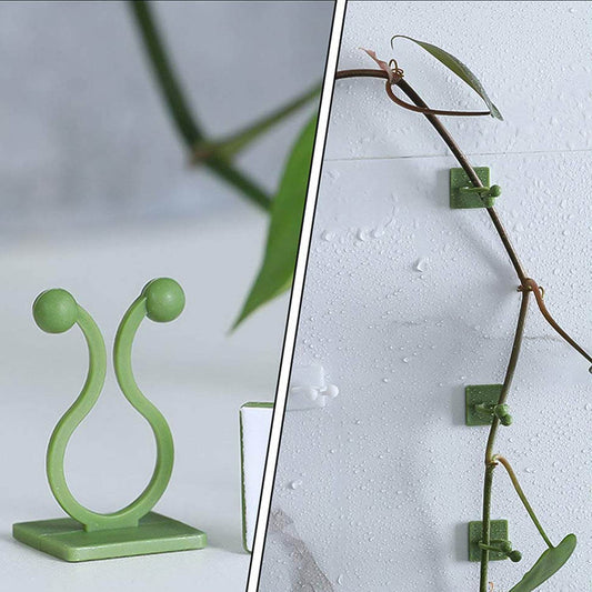 Plant Climbing Wall Fixture Clip Self-Adhesive Hook (40 Pcs Set / With plastic box) - Gadgetspiremart