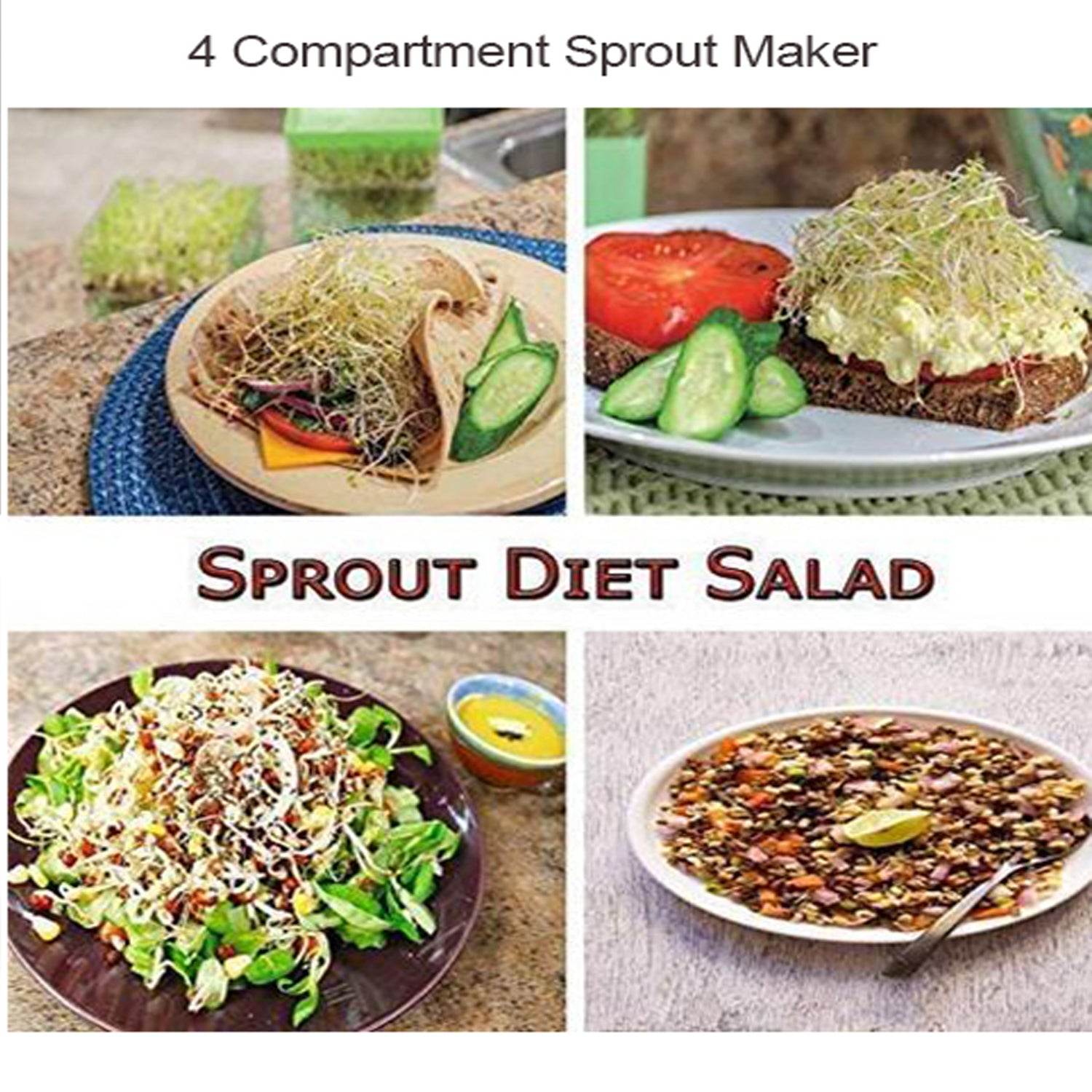 Plastic 4 Compartment Sprout Maker, White - Gadgetspiremart