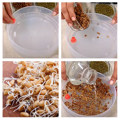 Plastic 4 Compartment Sprout Maker, White - Gadgetspiremart