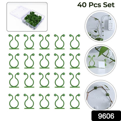 Plant Climbing Wall Fixture Clip Self-Adhesive Hook (40 Pcs Set / With plastic box) - Gadgetspiremart